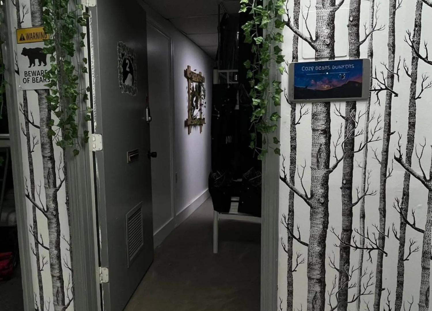 Cozy Bears Bunkers Vandrehjem Memphis Vandrerhjem