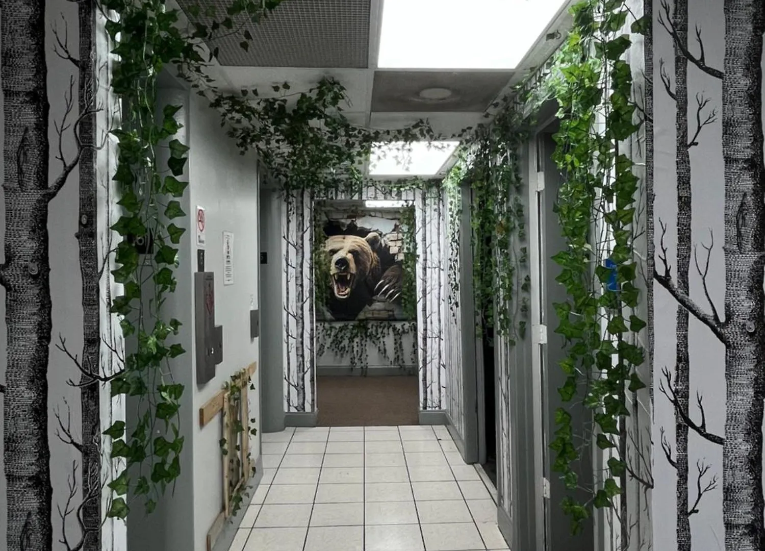 Cozy Bears Bunkers Vandrehjem Memphis Vandrerhjem