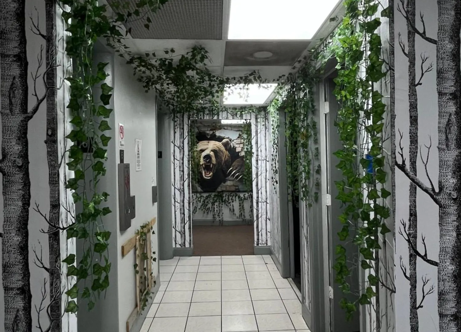 Vandrerhjem Cozy Bears Bunkers Vandrehjem Memphis