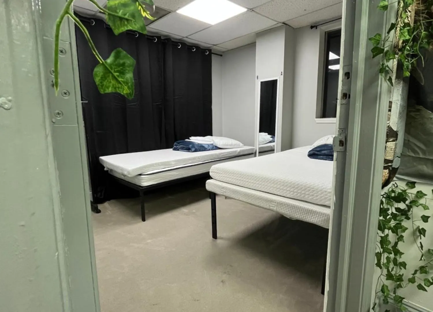 Cozy Bears Bunkers Vandrehjem Memphis Vandrerhjem